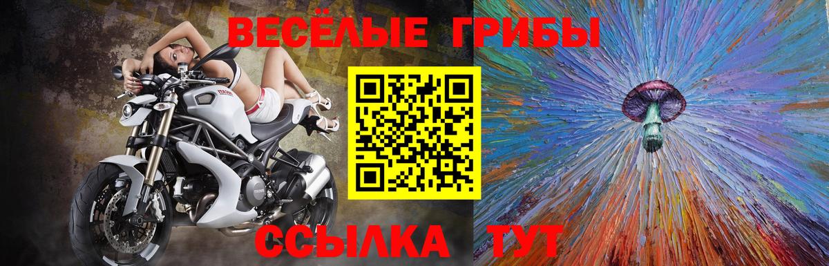 Кирово-Чепецк  Псилоцибиновые грибы ЛСД  Вход с VPN 